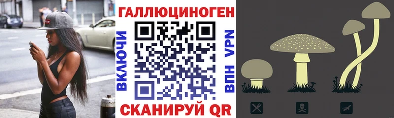 Купить  Заводоуковск  Галлюциногенные грибы мицелий 